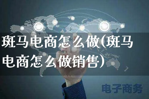 斑马电商怎么做(斑马电商怎么做销售)_https://www.czttao.com_亚马逊电商_第1张