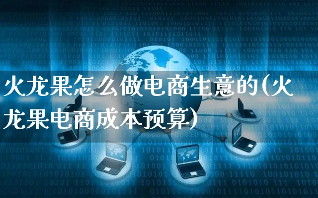 火龙果怎么做电商生意的(火龙果电商成本预算)_https://www.czttao.com_电商问答_第1张