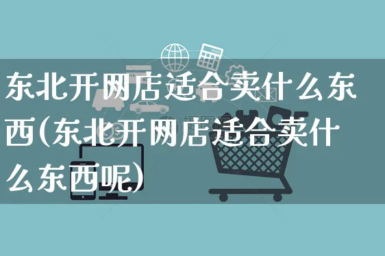 东北开网店适合卖什么东西(东北开网店适合卖什么东西呢)_https://www.czttao.com_店铺规则_第1张