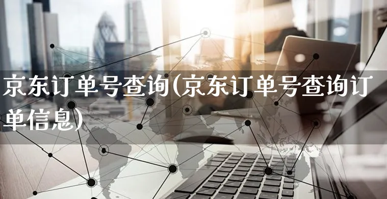 京东订单号查询(京东订单号查询订单信息)_https://www.czttao.com_京东电商_第1张