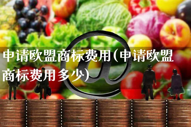 申请欧盟商标费用(申请欧盟商标费用多少)_https://www.czttao.com_京东电商_第1张