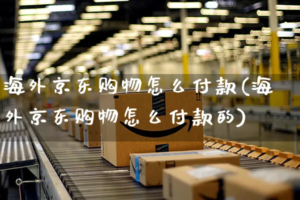 海外京东购物怎么付款(海外京东购物怎么付款的)_https://www.czttao.com_亚马逊电商_第1张