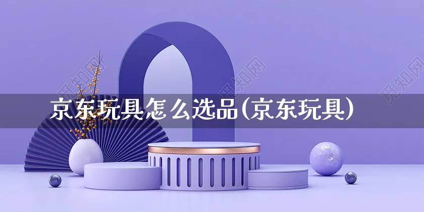 京东玩具怎么选品(京东玩具)_https://www.czttao.com_京东电商_第1张