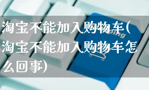 淘宝不能加入购物车(淘宝不能加入购物车怎么回事)_https://www.czttao.com_京东电商_第1张