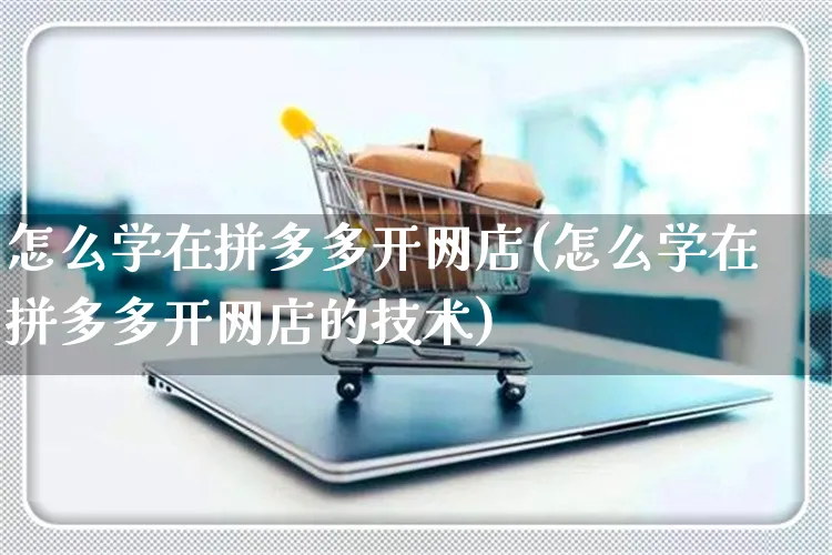 怎么学在拼多多开网店(怎么学在拼多多开网店的技术)_https://www.czttao.com_开店技巧_第1张