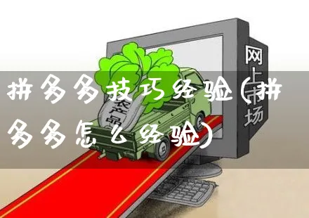 拼多多技巧经验(拼多多怎么经验)_https://www.czttao.com_拼多多电商_第1张