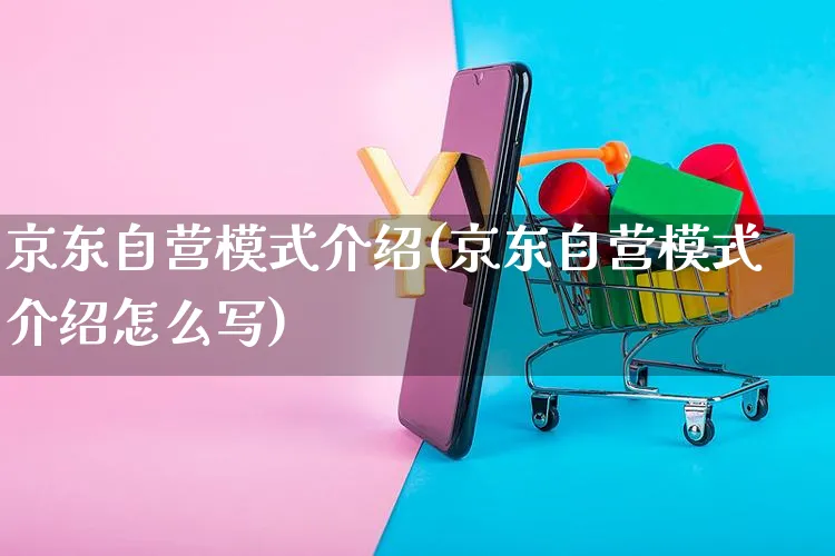 京东自营模式介绍(京东自营模式介绍怎么写)_https://www.czttao.com_拼多多电商_第1张