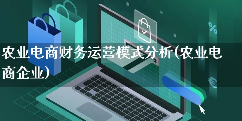 农业电商财务运营模式分析(农业电商企业)_https://www.czttao.com_电商运营_第1张