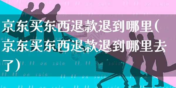 京东买东西退款退到哪里(京东买东西退款退到哪里去了)_https://www.czttao.com_闲鱼电商_第1张