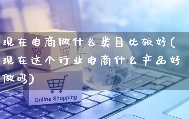 现在电商做什么类目比较好(现在这个行业电商什么产品好做吗)_https://www.czttao.com_开店技巧_第1张