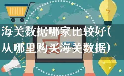 海关数据哪家比较好(从哪里购买海关数据)_https://www.czttao.com_京东电商_第1张