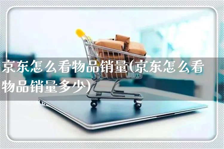 京东怎么看物品销量(京东怎么看物品销量多少)_https://www.czttao.com_京东电商_第1张