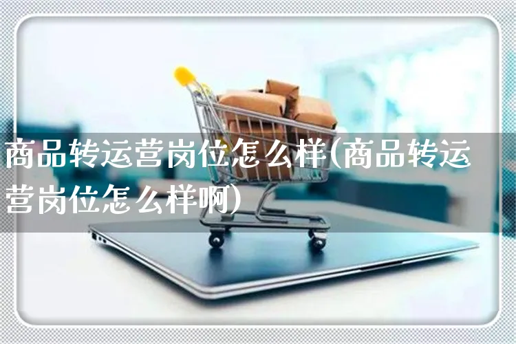 商品转运营岗位怎么样(商品转运营岗位怎么样啊)_https://www.czttao.com_电商运营_第1张