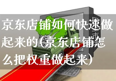 京东店铺如何快速做起来的(京东店铺怎么把权重做起来)_https://www.czttao.com_京东电商_第1张