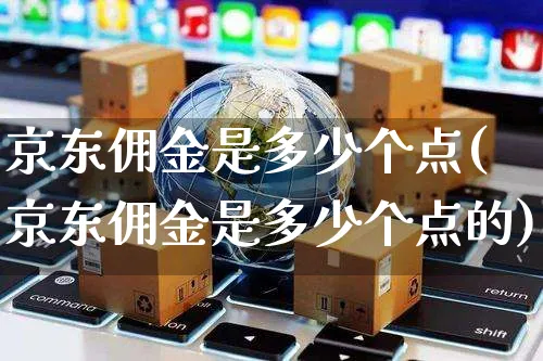 京东佣金是多少个点(京东佣金是多少个点的)_https://www.czttao.com_京东电商_第1张