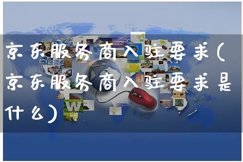 京东服务商入驻要求(京东服务商入驻要求是什么)_https://www.czttao.com_开店技巧_第1张