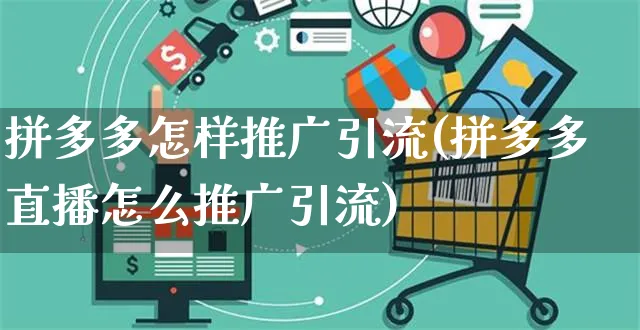 拼多多怎样推广引流(拼多多直播怎么推广引流)_https://www.czttao.com_淘宝电商_第1张