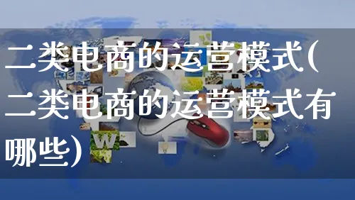 二类电商的运营模式(二类电商的运营模式有哪些)_https://www.czttao.com_淘宝电商_第1张