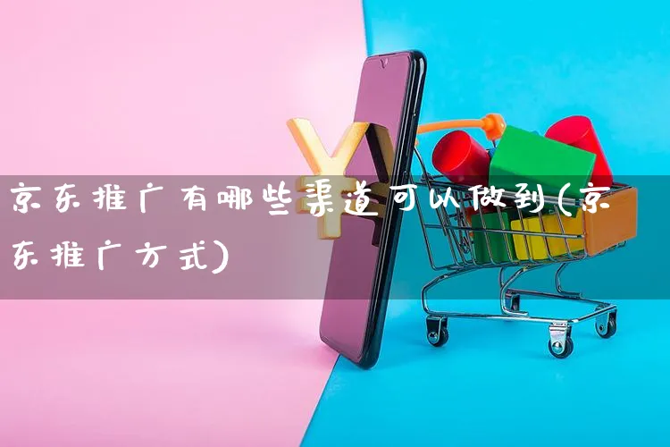 京东推广有哪些渠道可以做到(京东推广方式)_https://www.czttao.com_店铺装修_第1张