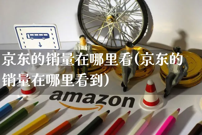 京东的销量在哪里看(京东的销量在哪里看到)_https://www.czttao.com_淘宝电商_第1张