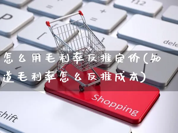 怎么用毛利率反推定价(知道毛利率怎么反推成本)_https://www.czttao.com_开店技巧_第1张