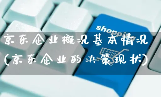 京东企业概况基本情况(京东企业的决策现状)_https://www.czttao.com_亚马逊电商_第1张