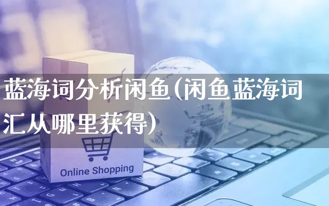 蓝海词分析闲鱼(闲鱼蓝海词汇从哪里获得)_https://www.czttao.com_店铺装修_第1张