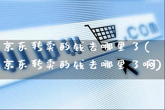 京东转卖的钱去哪里了(京东转卖的钱去哪里了啊)_https://www.czttao.com_开店技巧_第1张