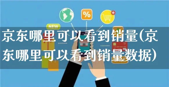 京东哪里可以看到销量(京东哪里可以看到销量数据)_https://www.czttao.com_拼多多电商_第1张