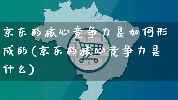 京东的核心竞争力是如何形成的(京东的核心竞争力是什么)_https://www.czttao.com_淘宝电商_第1张