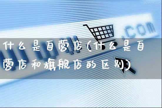 什么是自营店(什么是自营店和旗舰店的区别)_https://www.czttao.com_电商问答_第1张