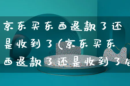 京东买东西退款了还是收到了(京东买东西退款了还是收到了钱)_https://www.czttao.com_拼多多电商_第1张