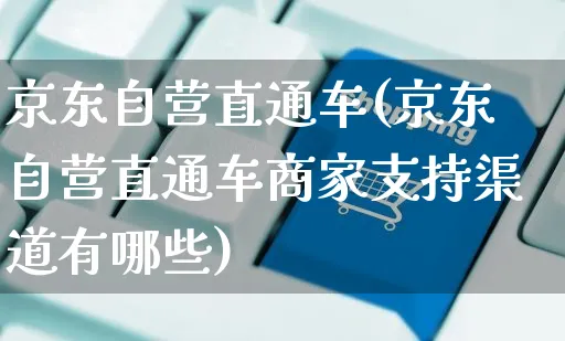 京东自营直通车(京东自营直通车商家支持渠道有哪些)_https://www.czttao.com_开店技巧_第1张