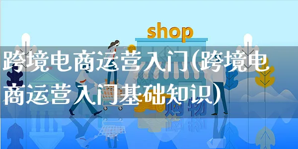 跨境电商运营入门(跨境电商运营入门基础知识)_https://www.czttao.com_京东电商_第1张