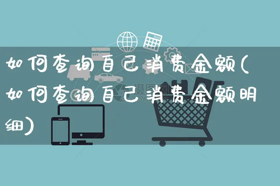 如何查询自己消费金额(如何查询自己消费金额明细)_https://www.czttao.com_抖音小店_第1张