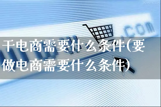 干电商需要什么条件(要做电商需要什么条件)_https://www.czttao.com_京东电商_第1张