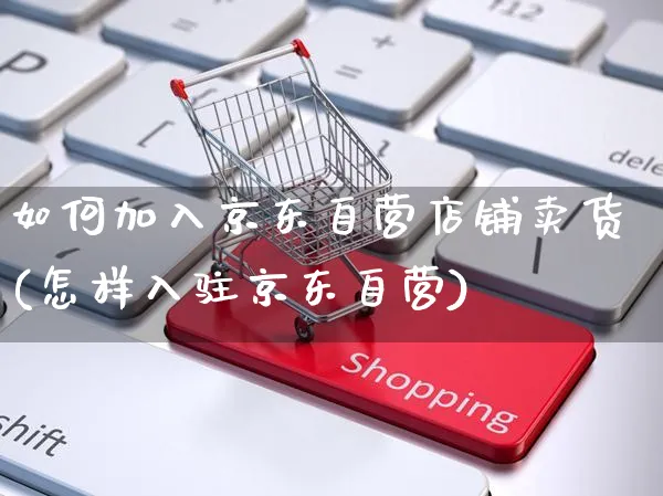 如何加入京东自营店铺卖货(怎样入驻京东自营)_https://www.czttao.com_店铺规则_第1张