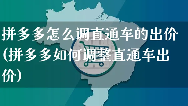 拼多多怎么调直通车的出价(拼多多如何调整直通车出价)_https://www.czttao.com_闲鱼电商_第1张