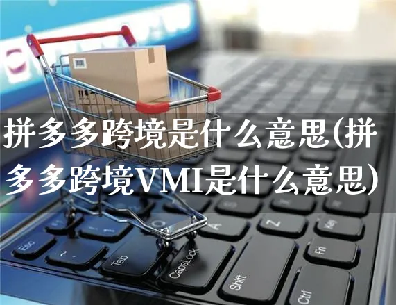 拼多多跨境是什么意思(拼多多跨境VMI是什么意思)_https://www.czttao.com_开店技巧_第1张