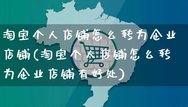 淘宝个人店铺怎么转为企业店铺(淘宝个人店铺怎么转为企业店铺有好处)_https://www.czttao.com_开店技巧_第1张