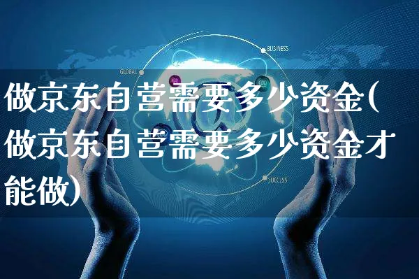 做京东自营需要多少资金(做京东自营需要多少资金才能做)_https://www.czttao.com_京东电商_第1张